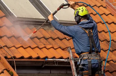 Démoussage et hydrofuge de toiture à Busseaut